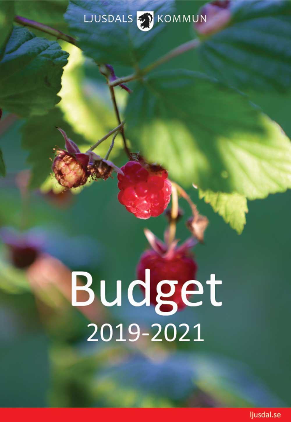 Framsidan på budgetdokumentet 2019-2021